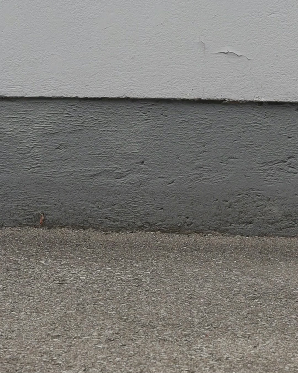 Classic Crew Socks - White